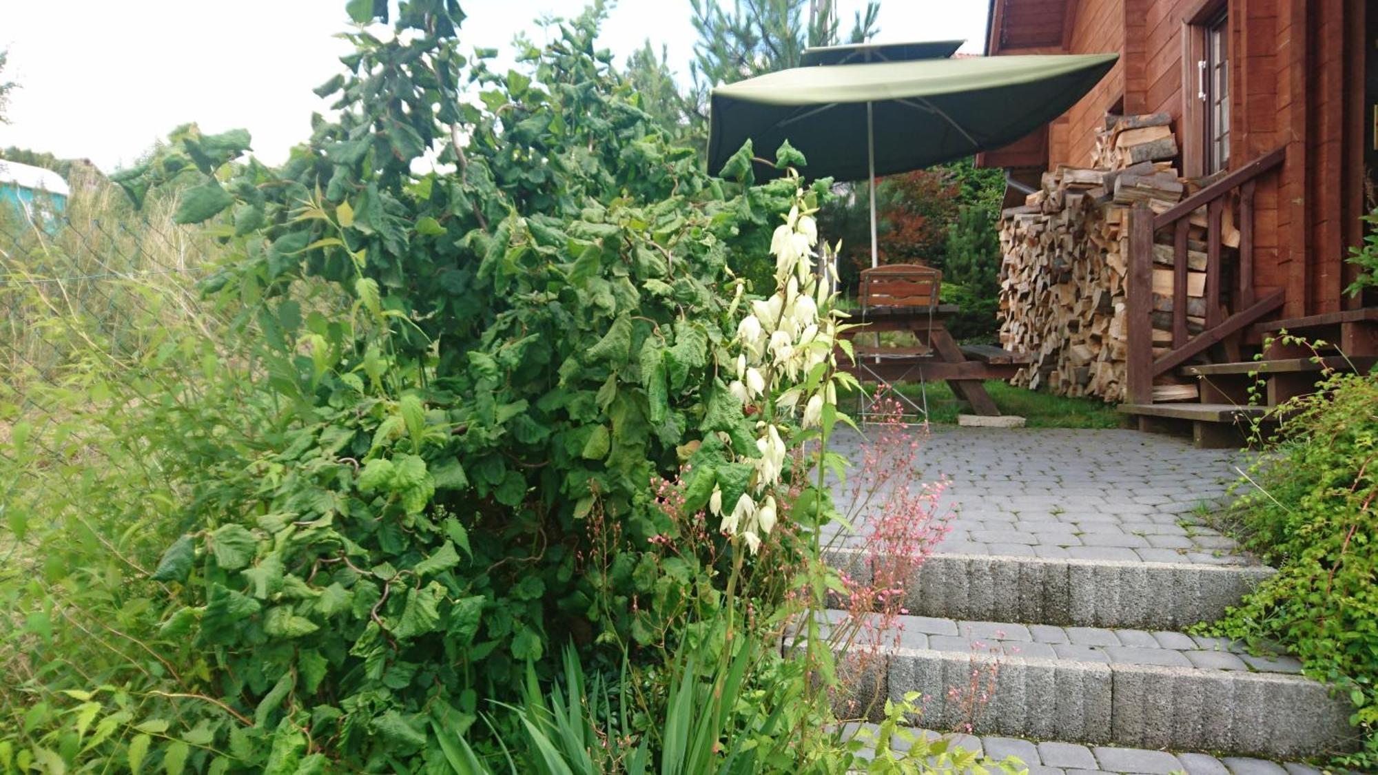 Chatki Qdlatki Kluszkowce Exterior foto